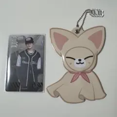 スキズ domimATE アイエン フォトカード 【レア】ミニうちわキーホルダー