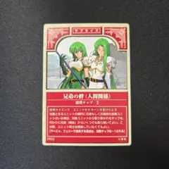 FETCG　兄弟の絆（人間関係）マーニャ　フュリー　プロモ　P022 NTT出版