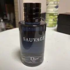 Dior sauvage ディオール ソヴァージュ オードゥ トワレ 100ml