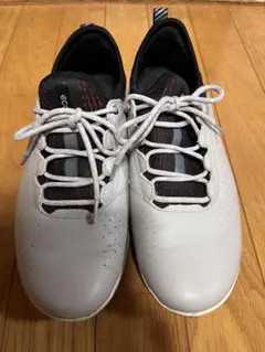 ECCO ゴルフシューズ　MEN'S GOLF BIOM C4