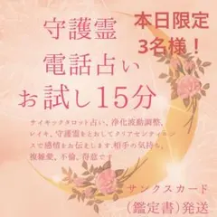 本日限定3名様‼️初めての方向け／初めての電話占い／守護霊タロット占い／鑑定書発送