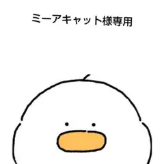ミーアキャット♡様 リクエスト 2点 まとめ商品