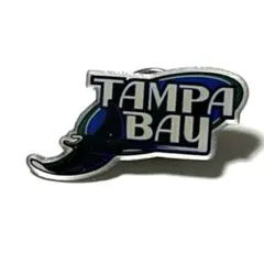 【希少】2004年製 MLB タンパベイ・デビルレイズ 公式ライセンス品