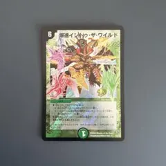 イントゥザワイルド　プロモ