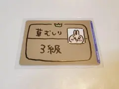 2025年最新】ヴァイスシュヴァルツ草むしり検定3級の人気