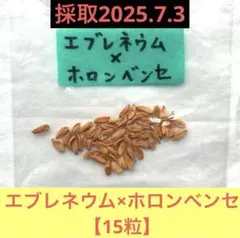 omochi8346様 リクエスト 2点 まとめ商品