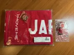 【AKATSUKI FIVE】バスケ日本代表タオル & BE@RBRICKセット