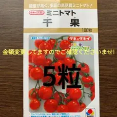 金額変更してます！でんぐり返し様 リクエスト 2点 まとめ商品