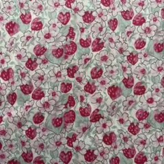 リバティ アシュテッド 06P2 生地幅×22cm