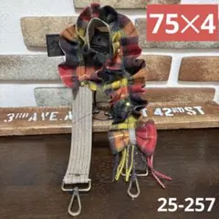 Item thumbnail for item 3a56e2a8-99dd-4897-9fb3-61883c72896d