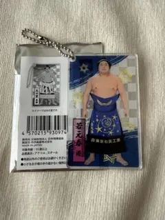 大相撲アクリルトレカ　若元春関
