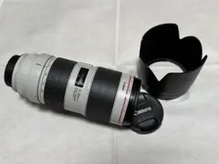 2026年最新】canon 70-200 f2.8l is ii usmの人気アイテム - メルカリ