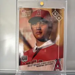 世界に1枚 大谷翔平 シリアル 1/6 LEAF METAL MLBカード - メルカリ