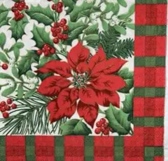 ꕤ︎︎·͜· ︎︎ Xmas花2①・3枚セットペーパーナプキン