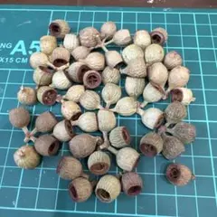 bouque様 リクエスト 2点 まとめ商品