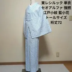 2026年最新】単衣 正絹 トールサイズの人気アイテム - メルカリ