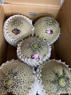 糖度19!! 「太陽の華」富良野メロン 2玉 品種：ティアラ - メルカリ