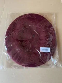 Item thumbnail for item a321b243-ecf6-444a-b06d-57a8a52c77a9