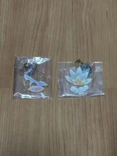 1番くじ（ディズニープリンセス）H賞 チャームcollection