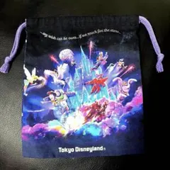 ディズニー 巾着 リーチファーザースターズ トイストーリー ベイマックス
