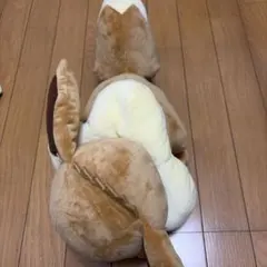 포켓몬 엄청 복어 봉제 인형 이브 이프 렌즈 이브이