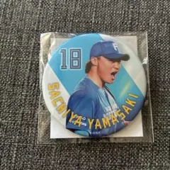 Item thumbnail for item 2dc077e9-e41a-42f3-9430-b2e024a4ef3c