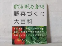 Item thumbnail for item 452ed2fc-a92e-44b4-be02-f73fcd7bdbbf