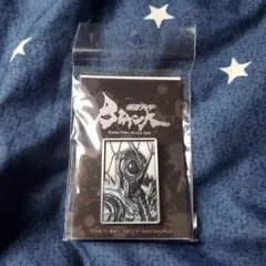 Kamen Rider BLACK SUN 限定ピンズ