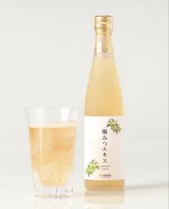 [스기비 가든] 플럼 허니 엑기스 500ml ☆