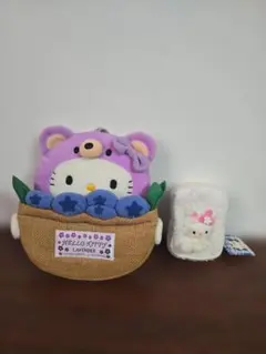 北海道限定 ハローキティ