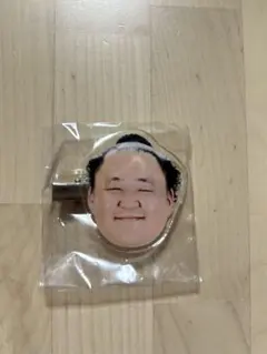 玉鷲　ヘアクリップ