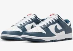 新品未使用 NIKE DUNK ヴァレリアンブルー 28cm