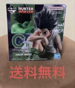 一番くじ ハンターハンター C賞 ゴン MASTERLISE