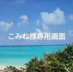 こみね様専用画像