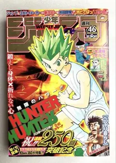 週刊少年ジャンプ 2005年 46号 HUNTER×HUNTER表紙 巻頭カラー - メルカリ