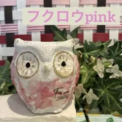 796★フクロウ鉢pink モルタル雑貨　（お任せ植物付き） 796☆フクロウ鉢pink モルタル雑貨 （お任せ植物付き） - メルカリ