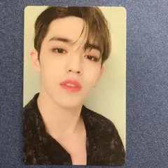 SEVENTEEN An Ode トレカ エスクプス