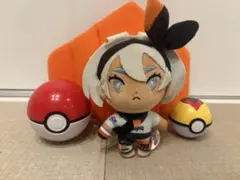 ポケモン ぬいぐるみなど2点まとめ売り