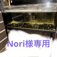 カンテツ　KANTETSU 水槽台　1200mm 600mm 120cm カンテツ KANTETSU 水槽台 1200mm 600mm 120cm 水槽台 120cm」の人気