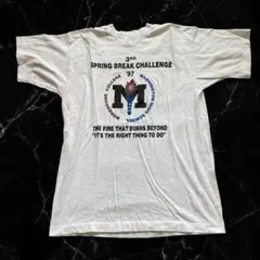1 フルーツオブザルーム　アメリカ製　プリントTシャツ　HEAVY COTTONのサムネイル