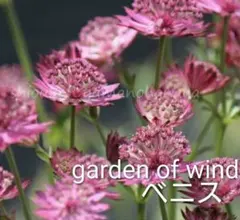 ぷらむ様 リクエスト 2点 まとめ商品