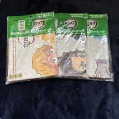 Item thumbnail for item 23bab707-073f-4bc4-949a-8c19b4f48877