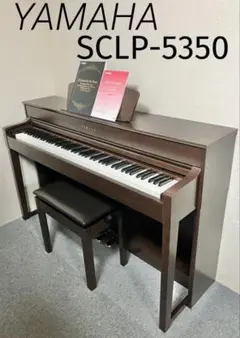 2026年最新】clp-535の人気アイテム - メルカリ