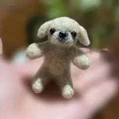 購入可能です☆羊毛フェルト【ペキニーズ】犬 ※他の犬種のオーダーも