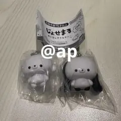 【即日配送】じょせまる　めじるしアクセサリー　じょせまる　ごまみるく　2点