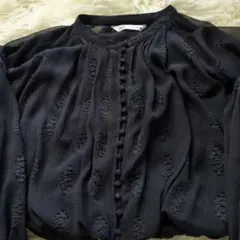 ZARA　ザラ　レディース　透け感のある　黒のボタン付きトップス