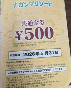 ナガシマリゾート 共通金券 ¥500のサムネイル