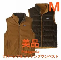 Patagonia リバーシブルコットンダウンベスト SHBN M