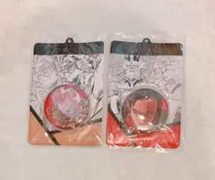 僕のヒーローアカデミア 缶バッジ＆特製ホルダー ホークス　エンデヴァー