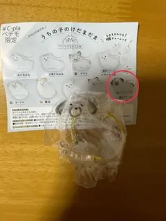 うちの子のけだまだま（プードル）